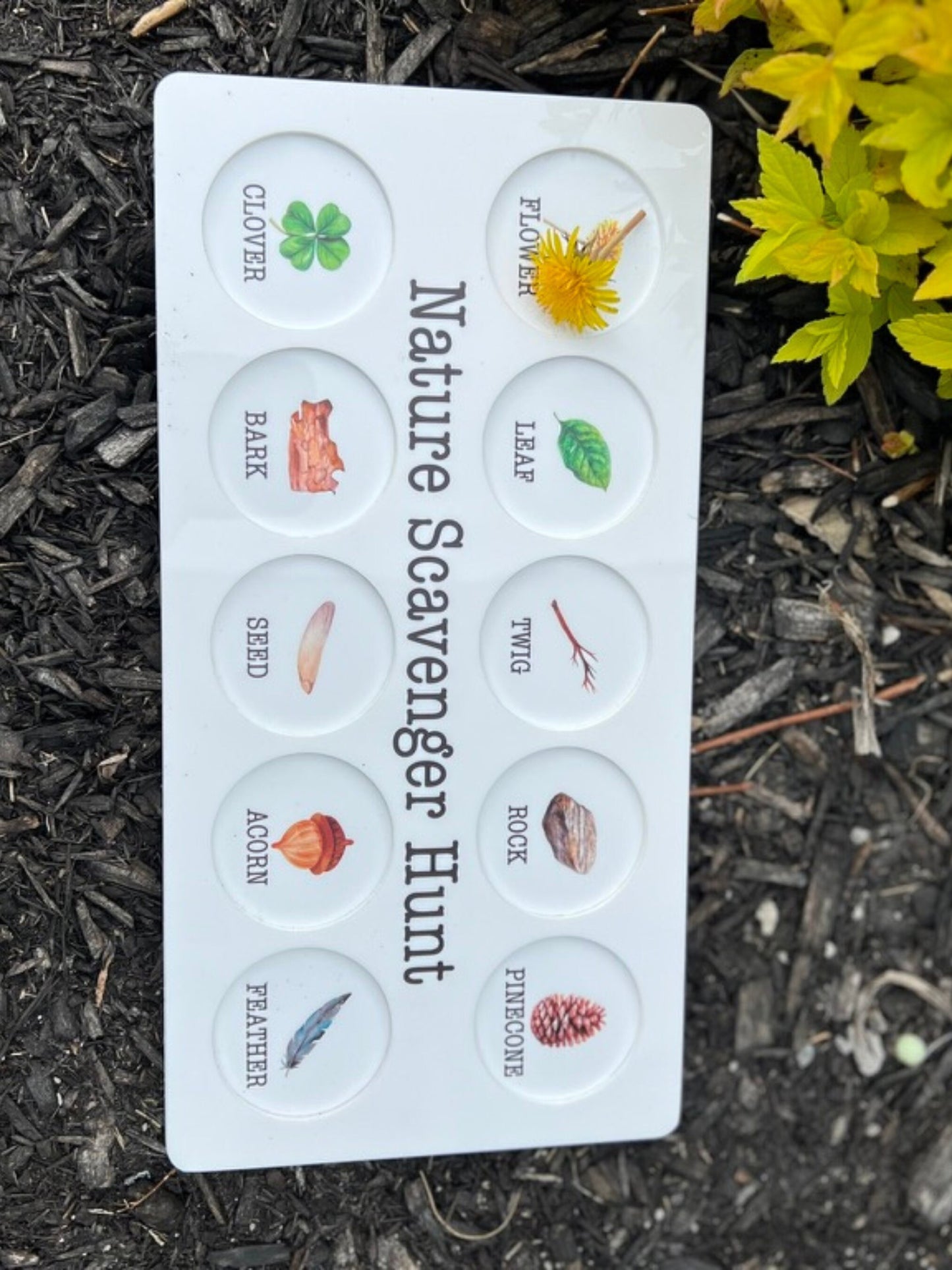 Nature Scavenger Hunt Board - Summer Activity - Personalized Gift For Kids - Educational Activities - Outdoor Games - Montessori