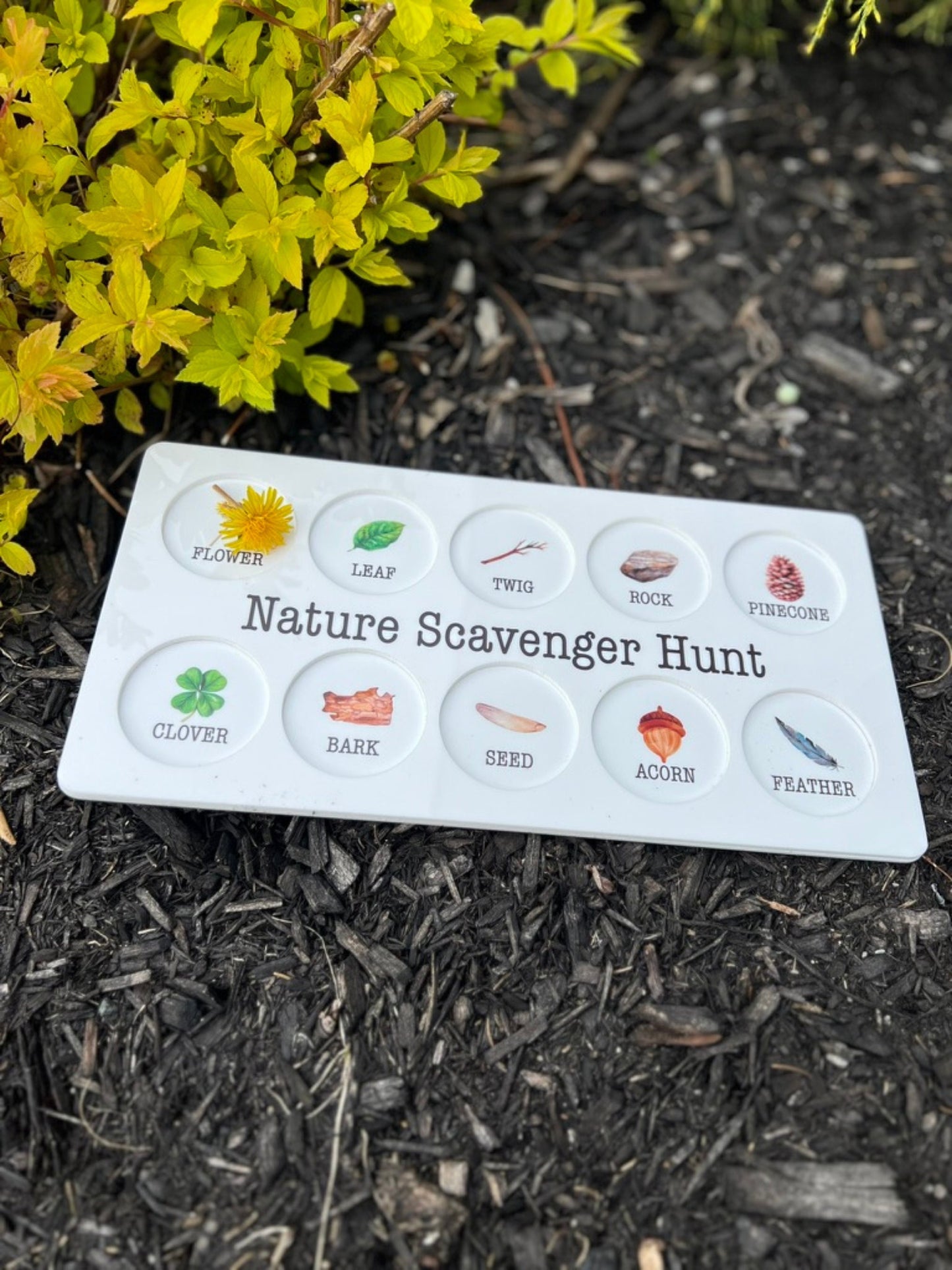 Nature Scavenger Hunt Board - Summer Activity - Personalized Gift For Kids - Educational Activities - Outdoor Games - Montessori